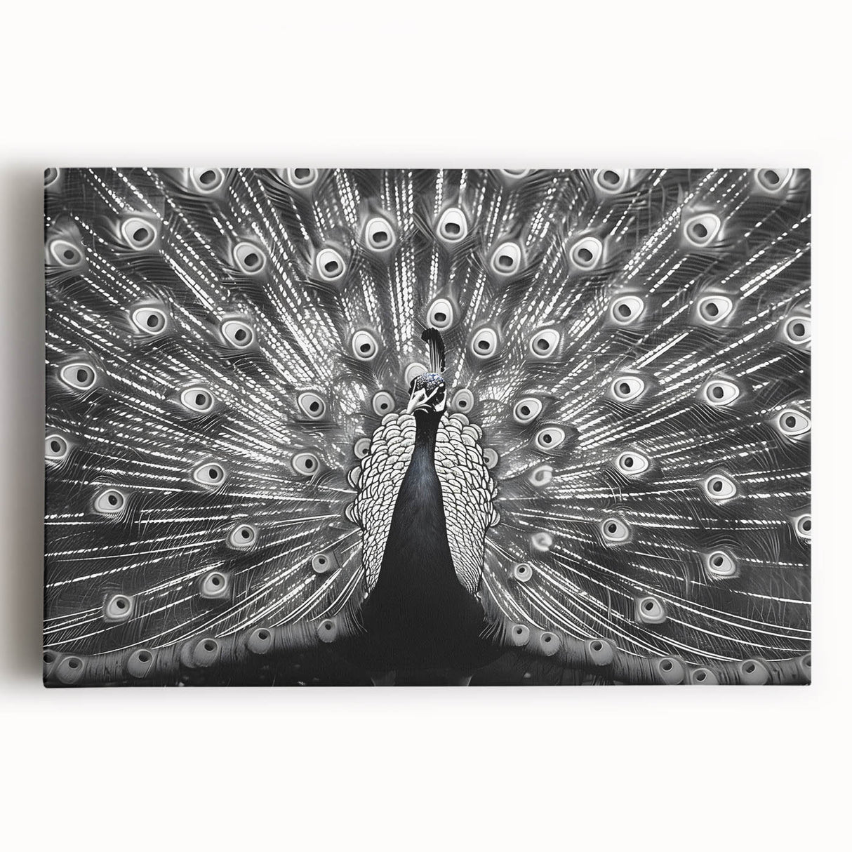 Vibrant peacock design wall art on stretched canvas, showcasing intricate feathers in shades of blue, green, and gold, perfect for adding elegance to home decor.