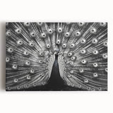 Vibrant peacock design wall art on stretched canvas, showcasing intricate feathers in shades of blue, green, and gold, perfect for adding elegance to home decor.