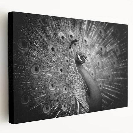 Stretched canvas wall art showcasing a vibrant peacock design with intricate details and rich colors, perfect for enhancing contemporary home decor.