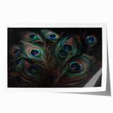 Vibrant rolled print showcasing a peacock design wall art featuring intricate feather patterns and rich colors, perfect for home decor enhancement.