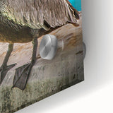 Close-up of a colorful pelican wall art design printed on acrylic glass, showcasing intricate details and vibrant hues, perfect for coastal-themed decor.