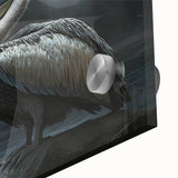 Close-up of a vibrant pelican wall art design, showcasing intricate details and colors on acrylic glass, perfect for coastal-themed decor.
