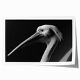 Vibrant pelican wall art print showcasing intricate details and colorful design, rolled and packaged securely in a durable tube for safe delivery. Perfect for coastal decor enthusiasts.