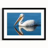 Black-framed wall art featuring a serene pelican design, showcasing detailed feathers and vibrant colors, ideal for coastal decor enthusiasts. Perfect for living rooms or beach houses.