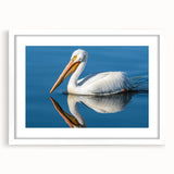 Framed wall art featuring a stylized pelican design in vibrant colors, set against a white mat background, ideal for coastal or nature-themed home decor.