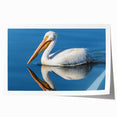 Vibrant wall art print showcasing a pelican design, featuring intricate details and rich colors, ideal for enhancing home decor and artistic spaces.