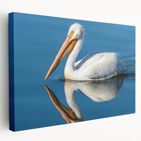 Stretched canvas wall art featuring a side view of a colorful pelican design, perfect for enhancing coastal-themed home decor with vibrant hues and intricate details.