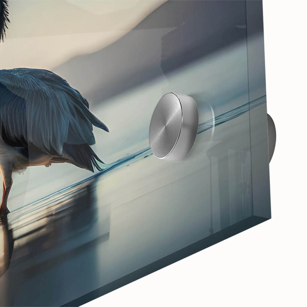 Close-up of a vibrant pelican design wall art piece, showcasing intricate details and colors on acrylic glass, ideal for modern home decor.