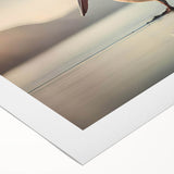 Pelican design wall art on rolled canvas, showcasing vibrant colors and intricate details, perfect for enhancing home decor with a coastal theme.