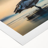 Rolled canvas artwork showcasing a vibrant pelican design, featuring bold colors and intricate details, perfect for adding a coastal touch to home decor.