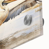 Close-up of a vibrant pelican wall art design on acrylic glass, showcasing intricate details and colors, perfect for enhancing home decor with a coastal theme.