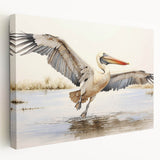 Stretched canvas wall art featuring a side view of a vibrant pelican design, showcasing rich colors and intricate details, perfect for coastal-themed decor.