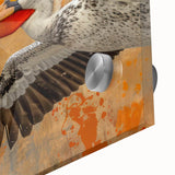Close-up of a vibrant pelican wall art design on acrylic glass, showcasing intricate details and bold colors, perfect for enhancing modern home decor.