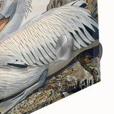 Close-up of a vibrant pelican design wall art piece, showcasing intricate details and colors on acrylic glass, perfect for coastal home decor or bird enthusiasts.