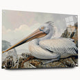 Acrylic glass wall art featuring a side view of a colorful pelican design with decorative pins, showcasing vivid details and textures perfect for coastal decor.