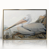 Framed wall art collection featuring a striking gold-accented pelican design, displayed in a modern setting, ideal for enhancing home decor with a touch of elegance.