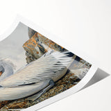 Elegant rolled print of a pelican design wall art featuring soft pastel colors and intricate details, ideal for coastal-themed decor, packaged securely in a cardboard tube.