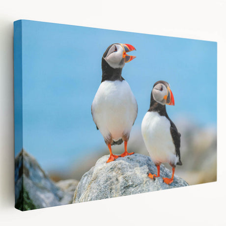 Stretched canvas wall art showcasing a vibrant puffin design, displayed from a side view, perfect for adding a coastal touch to home decor.