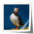 Colorful puffin design wall art collection displayed in a glossy photo print mockup, showcasing vibrant colors and intricate details, perfect for home decor enthusiasts.