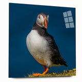 Acrylic wall art featuring a colorful puffin design displayed in a sleek side view, showcasing vibrant colors and intricate details, ideal for modern decor.