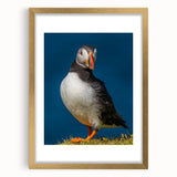 Framed wall art featuring a vibrant puffin design, set in a gold frame with a white mat, ideal for home decor and nature enthusiasts. Perfect for adding a touch of coastal charm to any room.