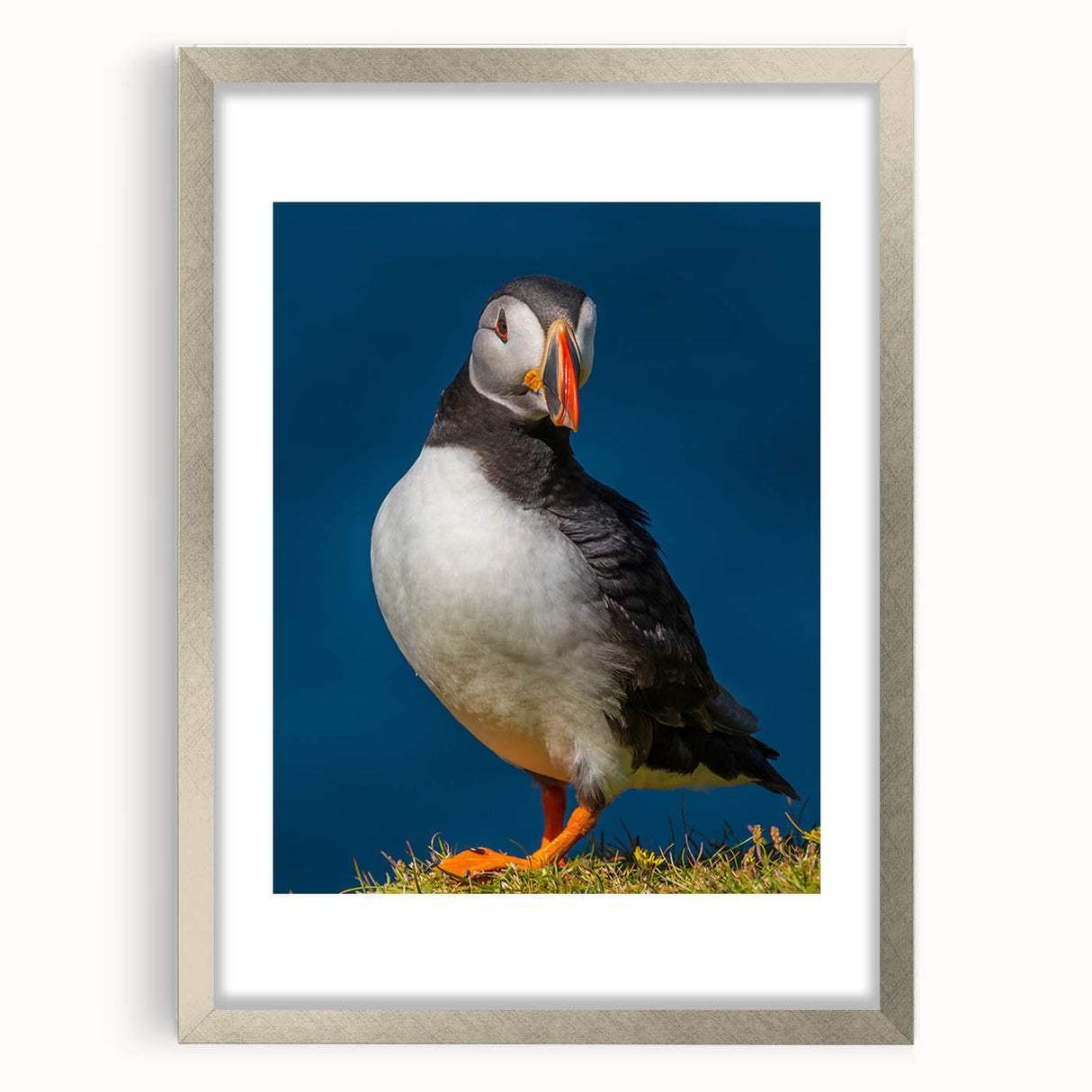 Framed wall art featuring a whimsical puffin design in vibrant colors, showcased with a silver mat and frame, perfect for adding a playful touch to home decor.