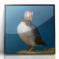 Framed black wall art featuring a vibrant puffin design, showcasing rich colors and intricate details, perfect for coastal-themed home decor.