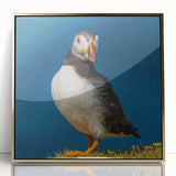 Framed wall art featuring a vibrant puffin design in a gold-acrylic frame, perfect for coastal-themed decor, showcasing colorful birds against a neutral background.
