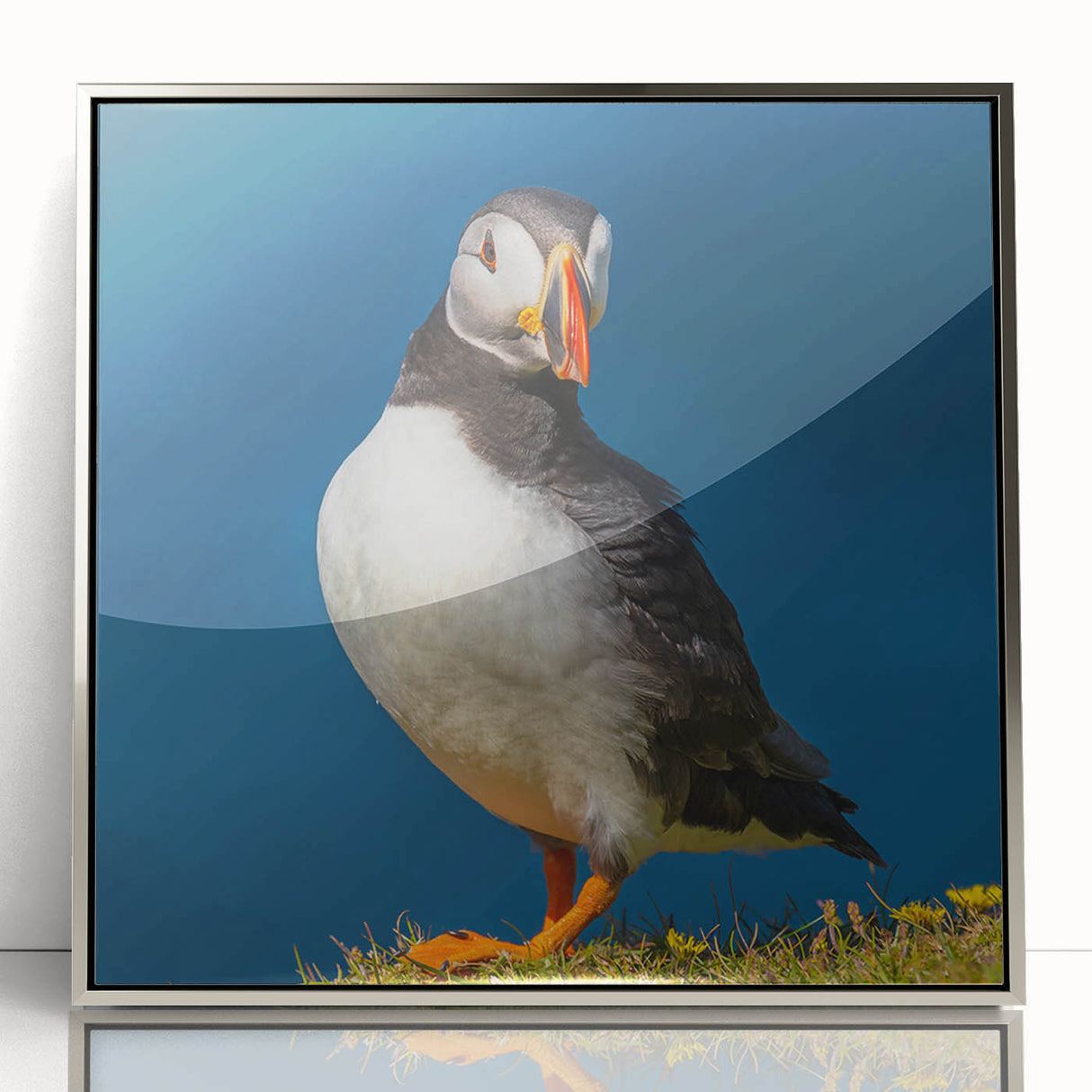 Framed wall art featuring a vibrant puffin design with a silver acrylic frame, showcasing colorful birds against a clean white background, ideal for modern decor.