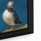 Close-up of framed canvas wall art featuring a vibrant puffin design with intricate details and a colorful background, ideal for nature enthusiasts and home decor.