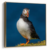 Framed wall art featuring a colorful puffin design on canvas, with a gold frame accentuating the vibrant colors, ideal for coastal-themed decor.