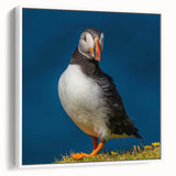 Framed canvas wall art featuring a vibrant puffin design in bold colors, displayed from a side view against a white background, ideal for coastal-themed decor.