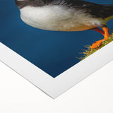 Colorful rolled canvas wall art depicting a pair of puffins against a vibrant background, showcasing intricate details and textures, ideal for nature enthusiasts and home decor.