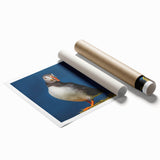 Colorful puffin bird wall art print featuring a whimsical design with vibrant hues, rolled and ready for framing. Perfect for nature lovers and home decor enthusiasts.