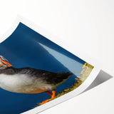 Colorful puffin wall art print showcasing a vibrant design, rolled and ready for display, perfect for ocean-themed decor enthusiasts. Ideal for adding a touch of nature to any room.