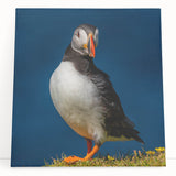 Colorful puffin design wall art on stretched canvas, showcasing vibrant blues and yellows, leaning against a white wall, perfect for coastal decor.