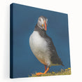 Stretched canvas wall art featuring a vibrant puffin design, showcasing bold colors and intricate details, perfect for adding a coastal touch to any room decor.