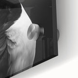 Close-up of vibrant puffin wall art design on acrylic glass, showcasing intricate details and colors, perfect for coastal-themed home decor.