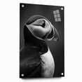 Colorful puffin-themed wall art collection displayed in a side view, featuring acrylic glass and pin mounting. Perfect for nature lovers and modern decor.