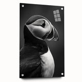 Colorful puffin-themed wall art collection displayed in a side view, featuring acrylic glass and pin mounting. Perfect for nature lovers and modern decor.