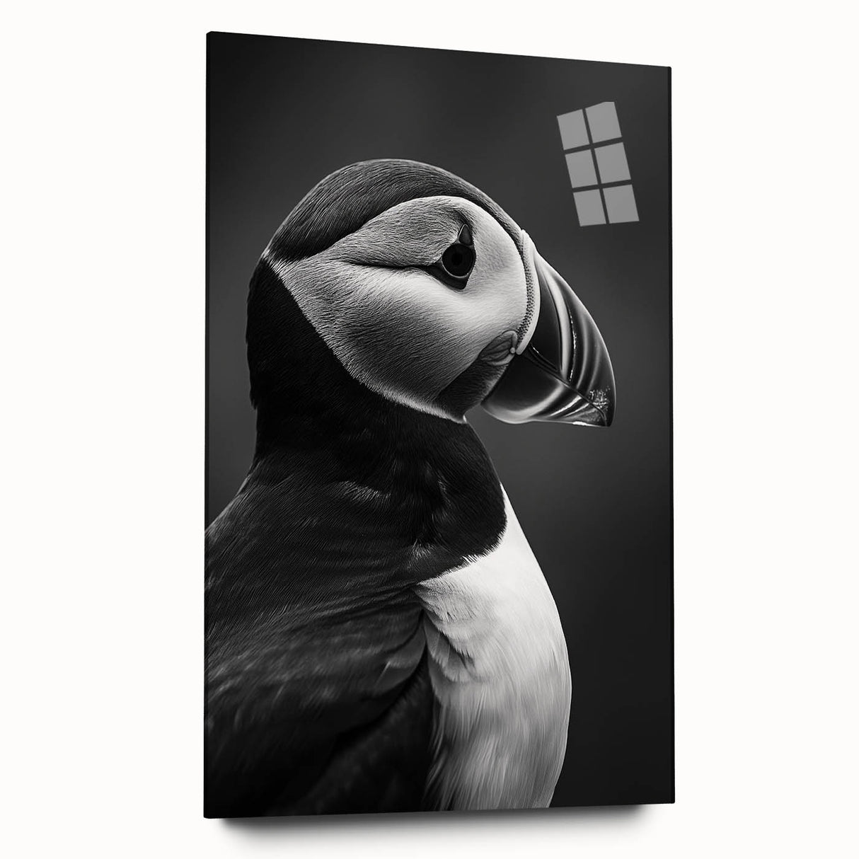 Colorful puffin wall art collection displayed in acrylic glass, showcasing vibrant bird designs in a modern side view, perfect for contemporary decor.