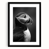 Framed wall art featuring a puffin design with a black mat, showcasing vibrant colors and intricate details, perfect for enhancing modern home decor.