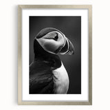 Framed wall art featuring a colorful puffin design, showcased in a sleek silver frame with a white mat, perfect for enhancing any modern interior decor.