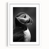 Puffin-themed wall art framed in white with a mat, showcasing vibrant colors and intricate details, ideal for coastal decor enthusiasts. Perfect for adding a touch of nature to any room.