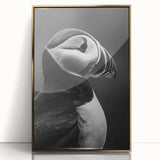 Framed wall art featuring a vibrant puffin design on acrylic, showcasing a gold frame. Ideal for adding a coastal touch to modern decor.