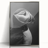 Framed wall art featuring a colorful puffin design, displayed in an elegant silver frame, showcasing intricate details and vibrant colors against a neutral background. Ideal for adding a touch of nature-inspired decor to modern interiors.