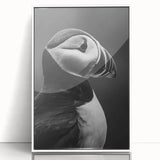 Framed wall art featuring a vibrant puffin design in a sleek white frame, perfect for adding a coastal touch to home decor. This acrylic piece showcases colorful marine life, ideal for bird lovers and seaside enthusiasts.