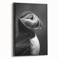 Framed canvas wall art featuring a vibrant puffin design, showcasing rich colors and intricate details, set against a sleek black frame for modern decor.
