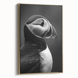 Framed canvas wall art featuring a colorful puffin design, showcasing vibrant hues of blue, orange, and gold in a modern setting, perfect for nature lovers.