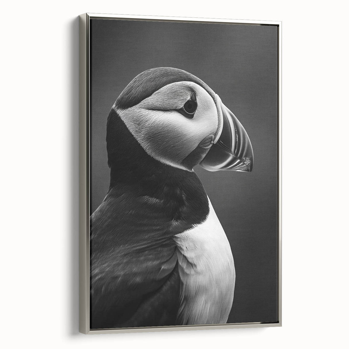 Framed canvas wall art showcasing a vibrant puffin design in a silver frame, ideal for coastal-themed decor, adding a splash of color to any room.